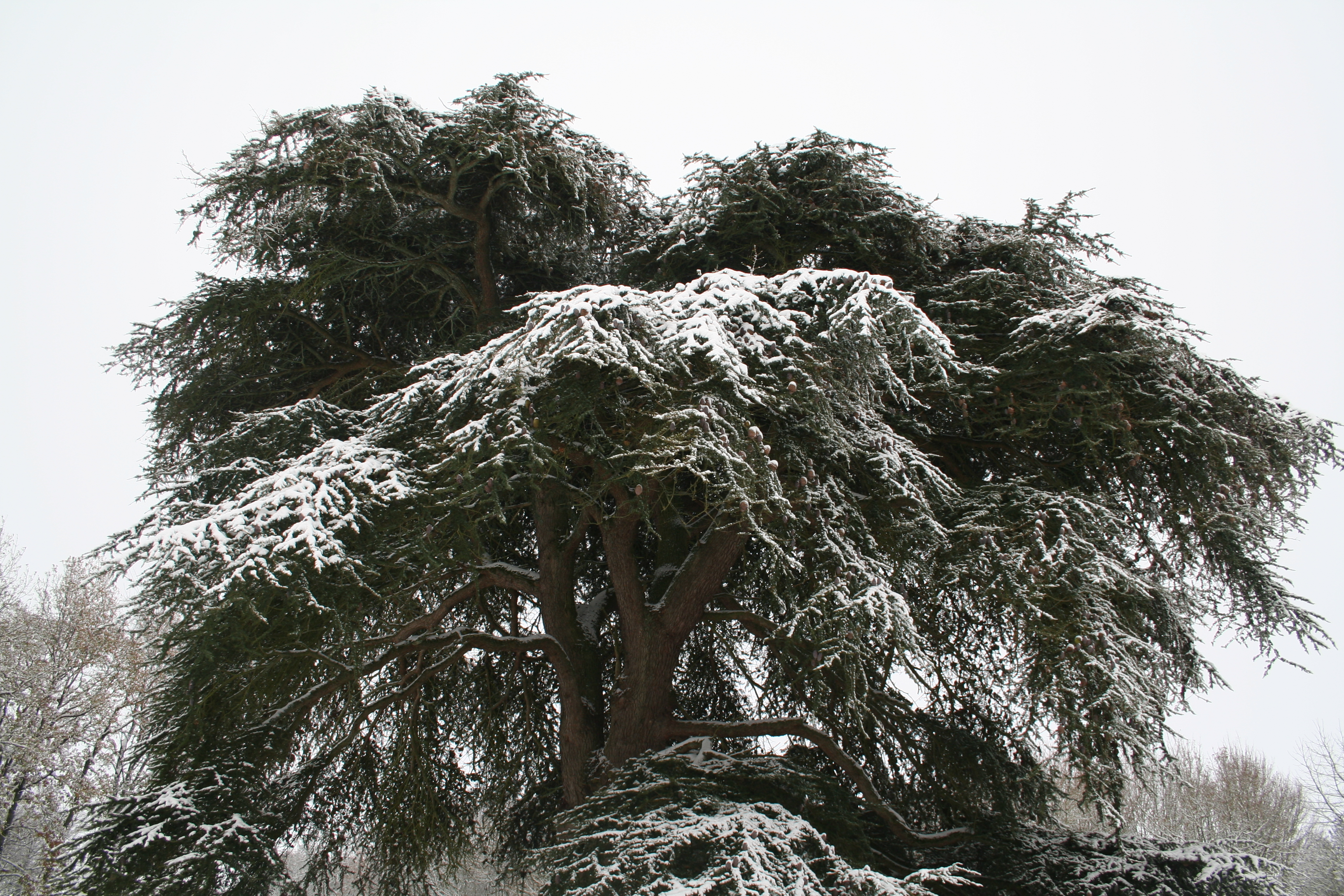Janvier-Février 2024 - Winter Tour Rock'n'Roll 