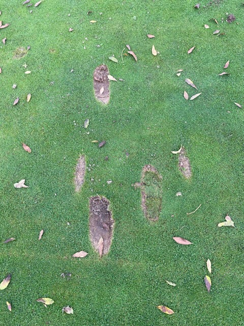 6/11/24  INADMISSIBLE