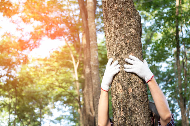 A la mémoire de Georges